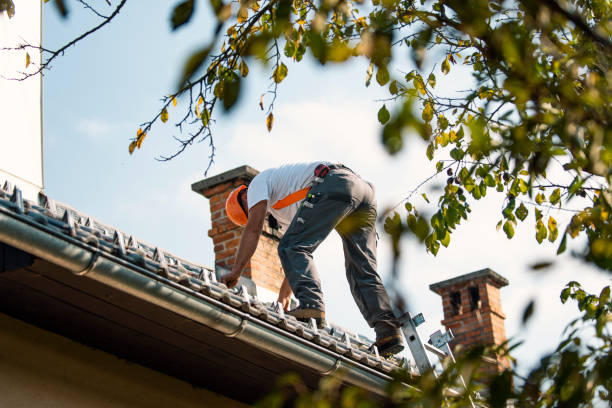 Best Flat Roof Repair Services  in Farmington, IL