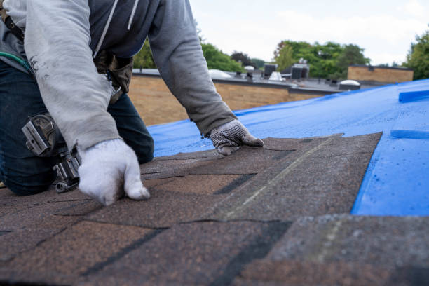 Best New Roof Installation  in Farmington, IL