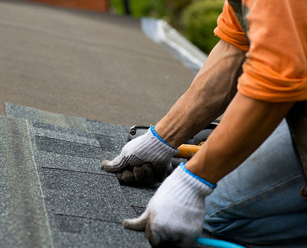 Roof Gutter Cleaning in Farmington, IL