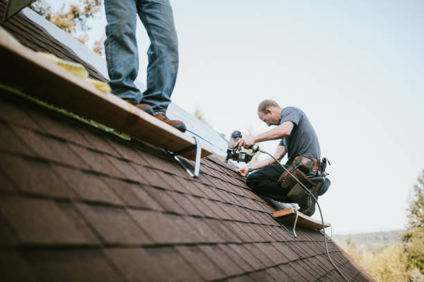 Best Roof Gutter Cleaning  in Farmington, IL